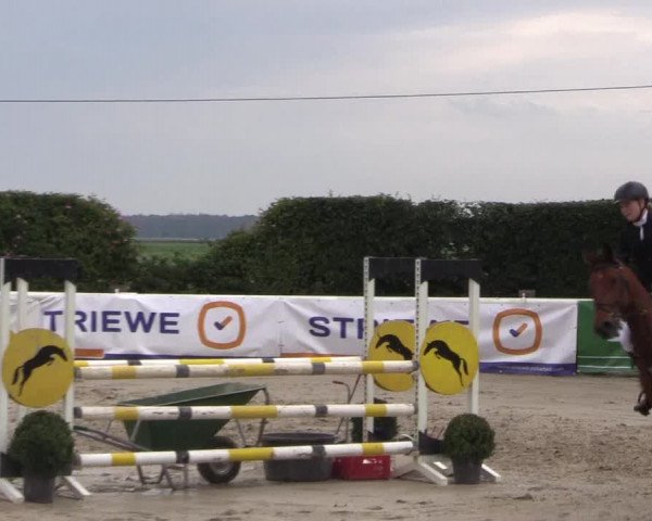 Reitturnier Niedernstöcken 2020
