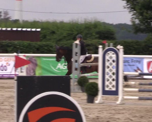 Reitturnier Niedernstöcken 2020