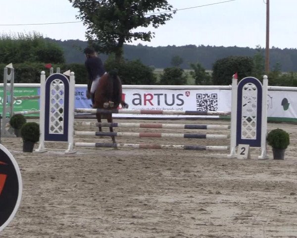 Equestrian Show Niedernstöcken 2020