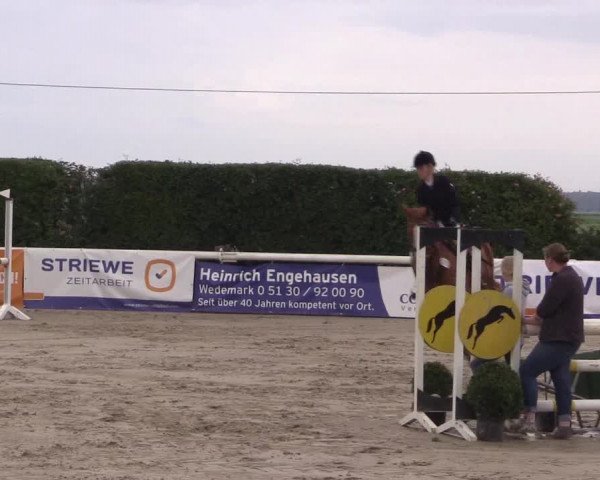 Reitturnier Niedernstöcken 2020