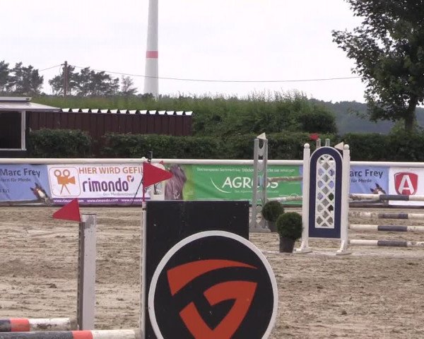 Reitturnier Niedernstöcken 2020