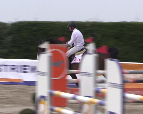 Reitturnier Niedernstöcken 2020