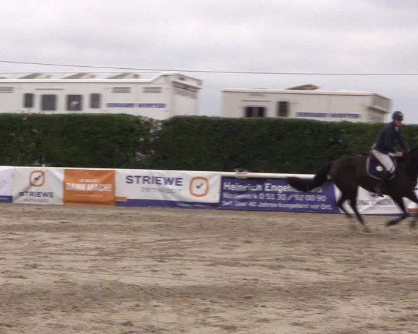 Reitturnier Niedernstöcken 2020