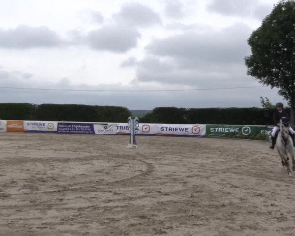 Reitturnier Niedernstöcken 2020