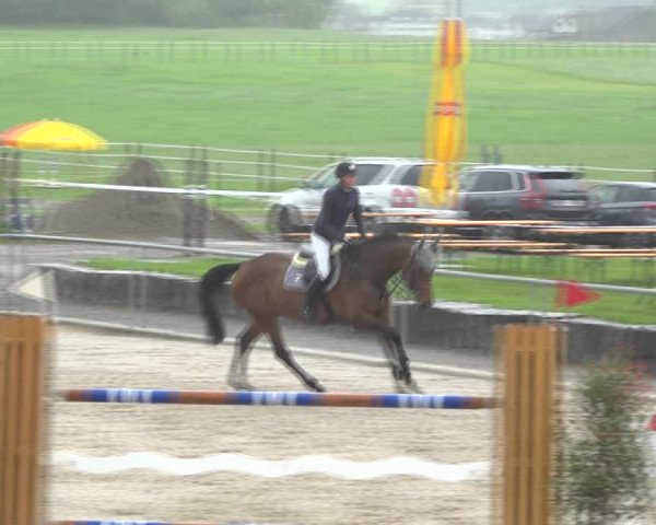 Reitturnier Galgenen 2020