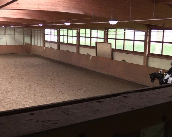 Reitturnier Halver 2020