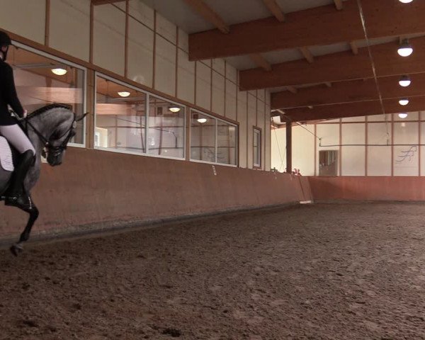 Reitturnier Halver 2020