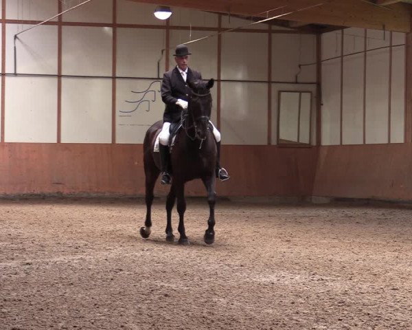 Reitturnier Halver 2020