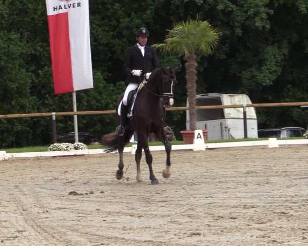 Reitturnier Halver 2020