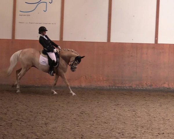 Reitturnier Halver 2020