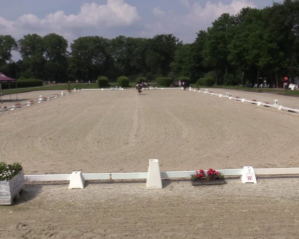 Reitturnier Münster-Handorf 2020