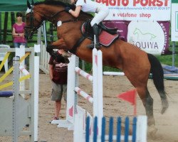 broodmare Kety (Brandenburg, 2000, from Kadett)