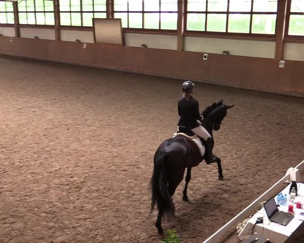 Reitturnier Halver 2020