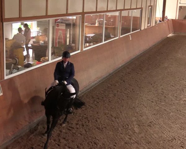 Reitturnier Halver 2020