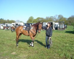jumper Ramira 326 (Hanoverian, 2002, from Ritual)