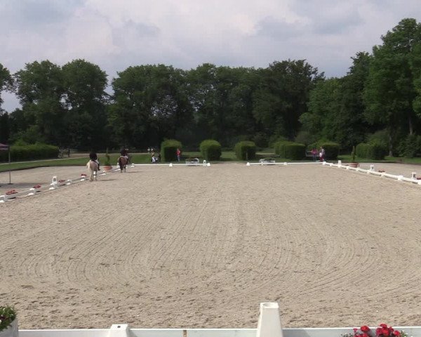 Reitturnier Münster-Handorf 2020