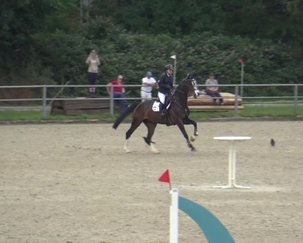 Reitturnier Langenfeld - Gut Langfort 2020