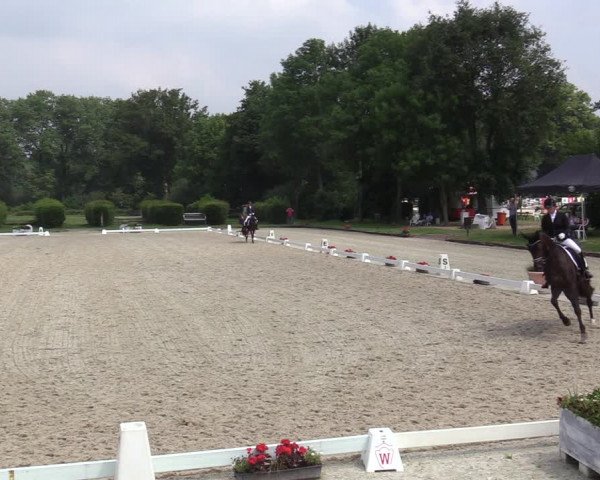 Reitturnier Münster-Handorf 2020