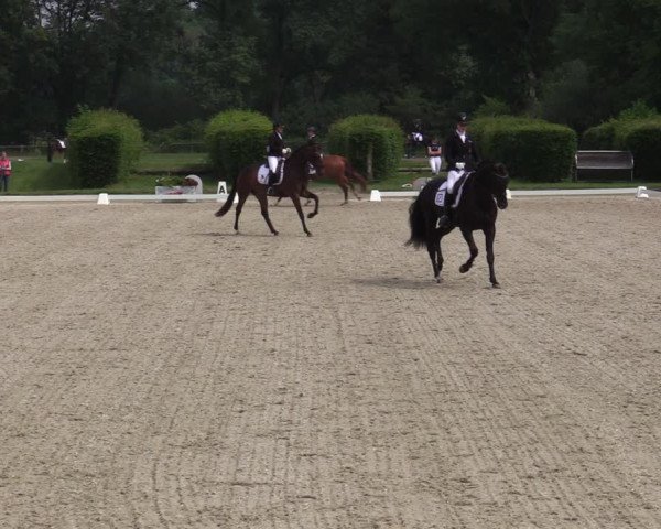 Reitturnier Münster-Handorf 2020