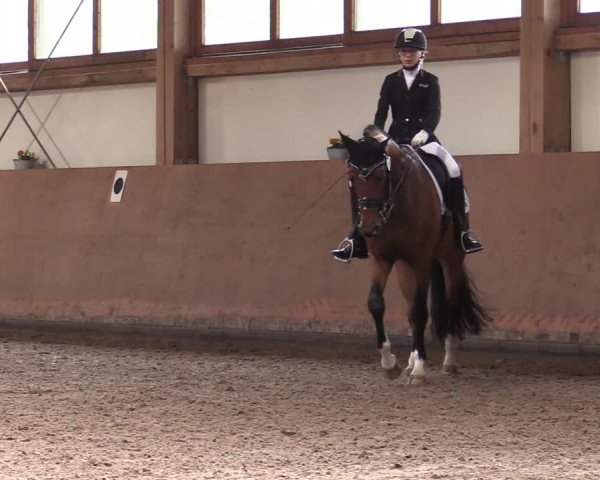 Reitturnier Halver 2020
