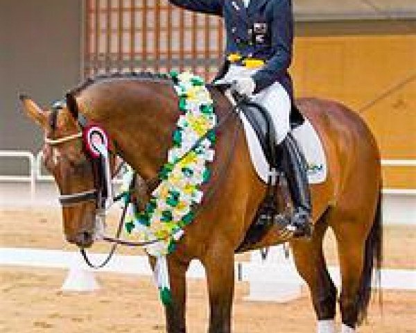 dressage horse Kh Arvan (Hanoverian, 1998, from Anamour)