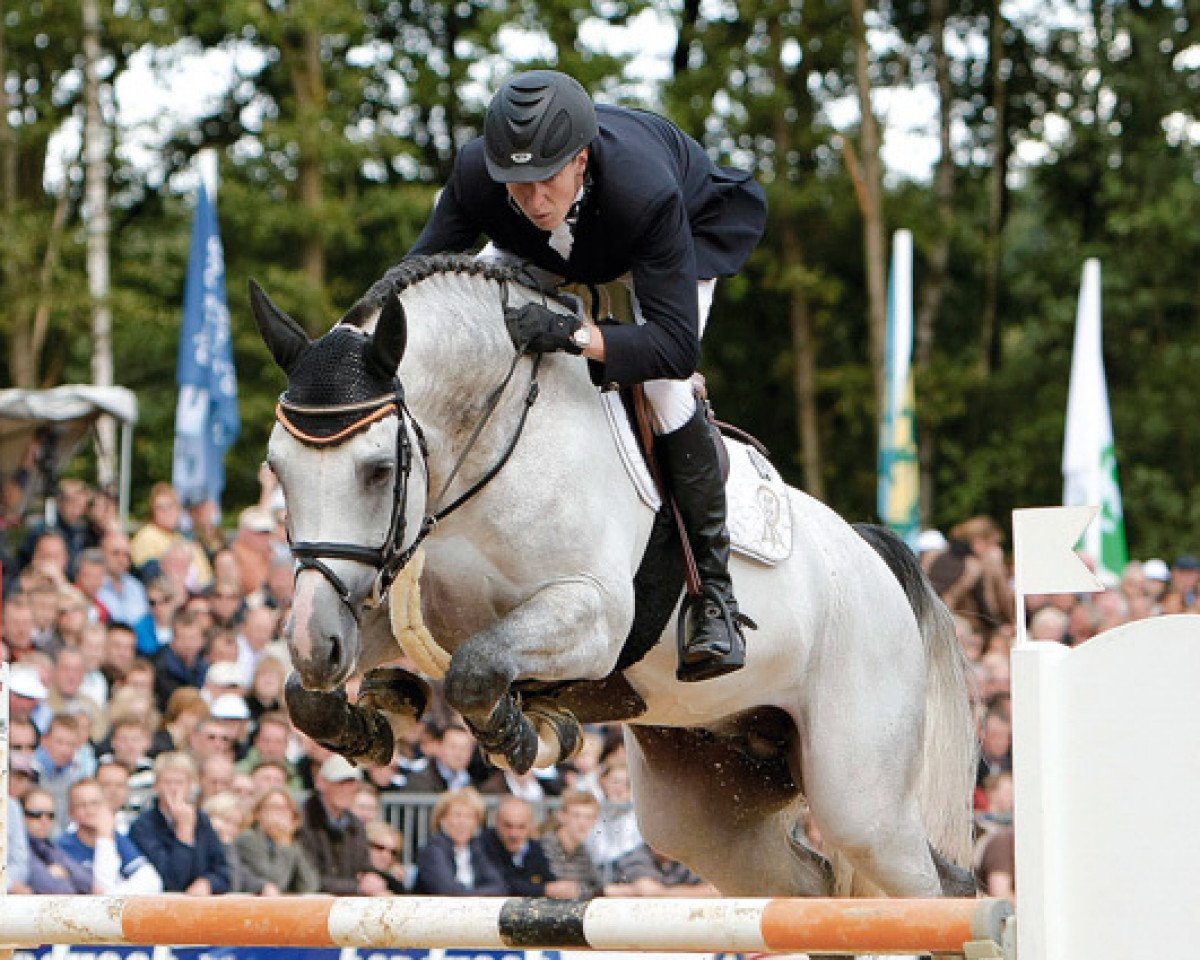 stallion Cornet's Stern (Westphalian, 2003, from Cornet Obolensky)