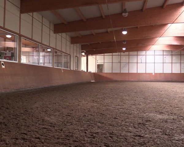 Reitturnier Halver 2020