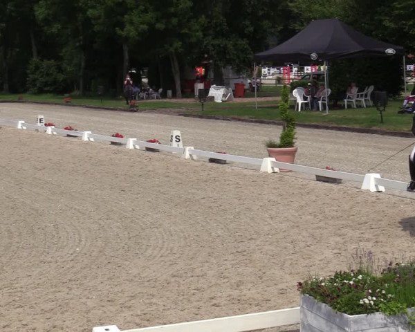 Reitturnier Münster-Handorf 2020