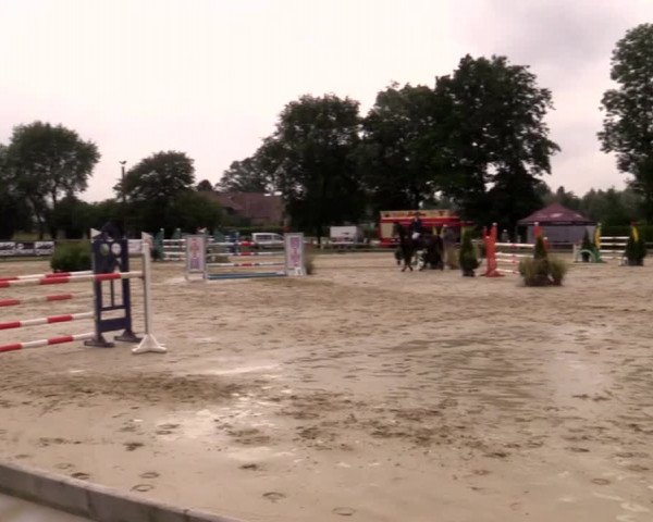 Reitturnier Münster-Handorf 2020