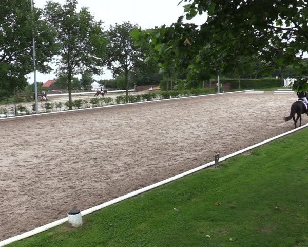 Reitturnier Fröndenberg 2020