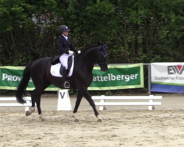 Reitturnier Fröndenberg 2020