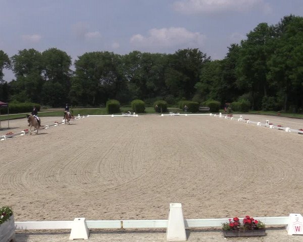 Reitturnier Münster-Handorf 2020