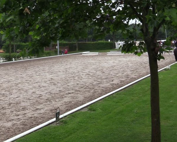 Reitturnier Fröndenberg 2020