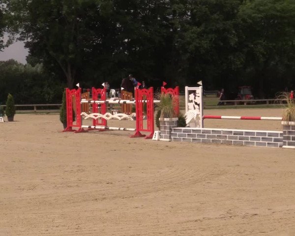 Reitturnier Münster-Handorf 2020
