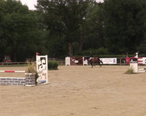 Reitturnier Münster-Handorf 2020