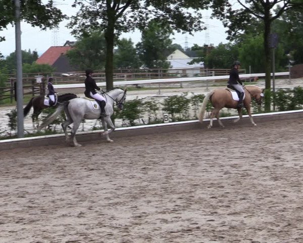 Reitturnier Fröndenberg 2020