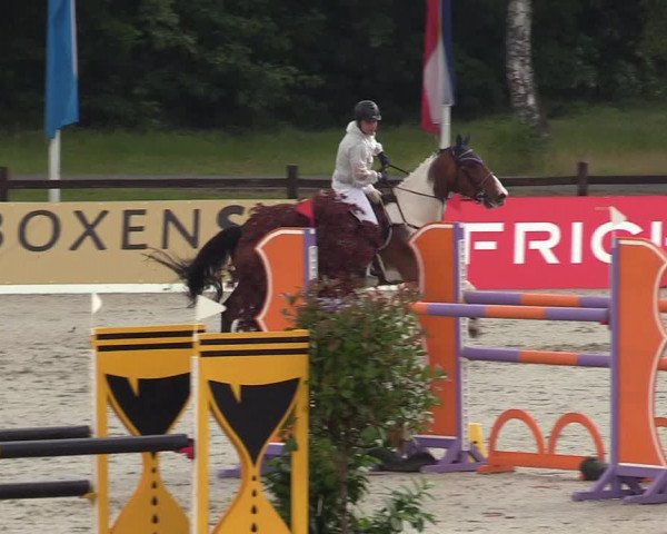 Reitturnier CSI** Westergellersen 2020