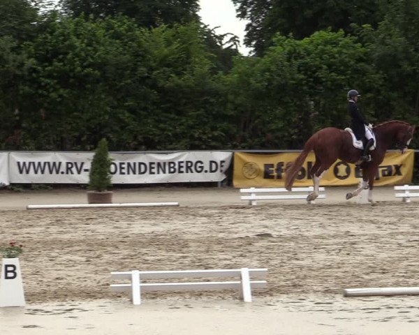 Reitturnier Fröndenberg 2020