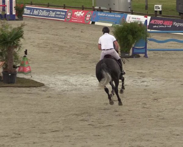 Reitturnier CSI** Westergellersen 2020