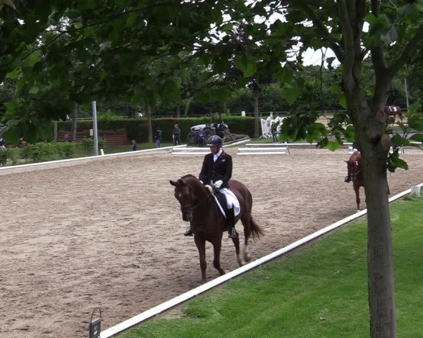Reitturnier Fröndenberg 2020