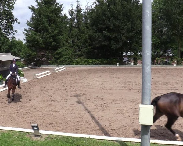Reitturnier Fröndenberg 2020