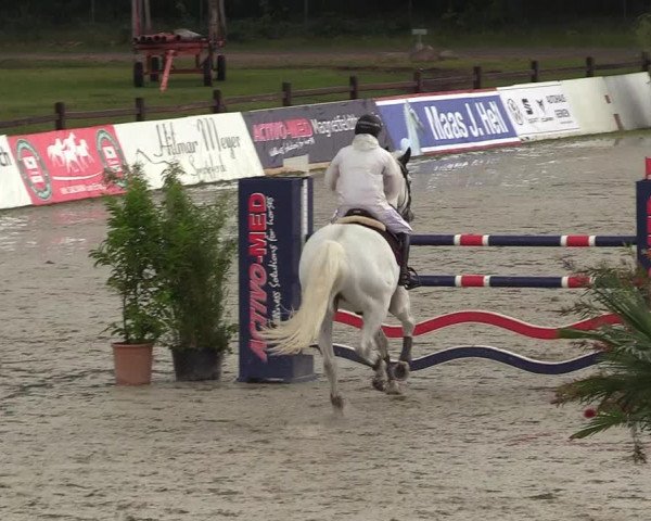 Reitturnier CSI** Westergellersen 2020