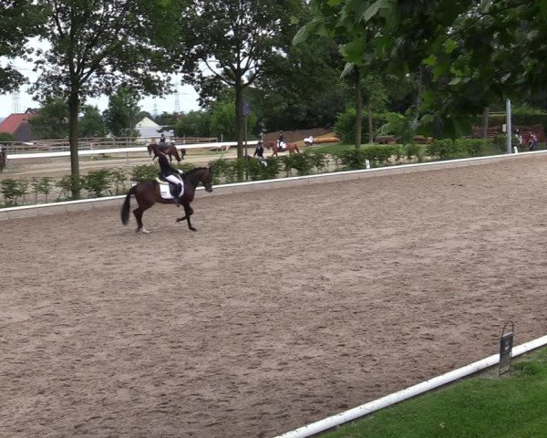 Reitturnier Fröndenberg 2020