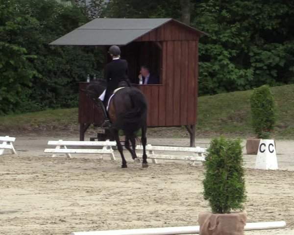 Reitturnier Fröndenberg 2020