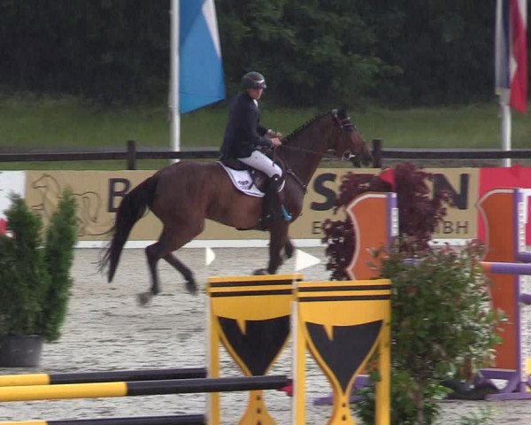 Reitturnier CSI** Westergellersen 2020