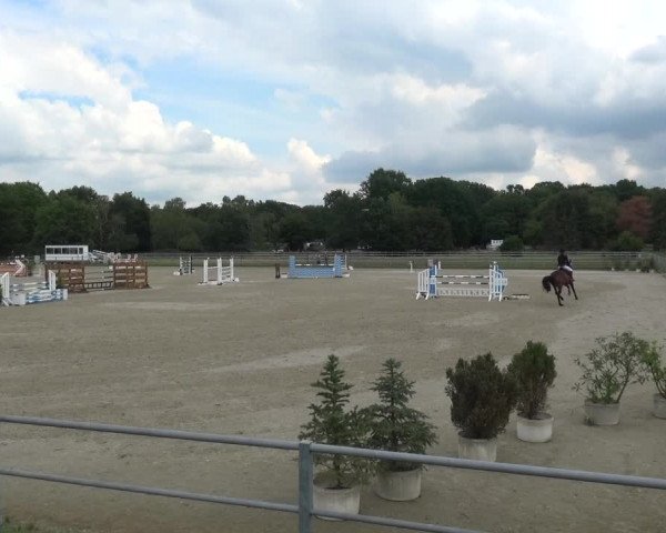Reitturnier Langenfeld - Gut Langfort 2020