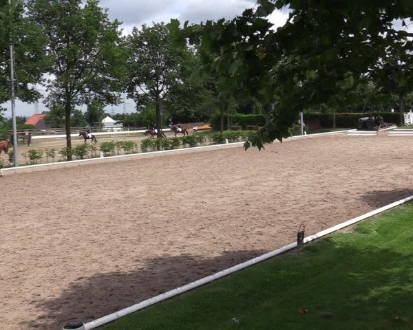 Reitturnier Fröndenberg 2020
