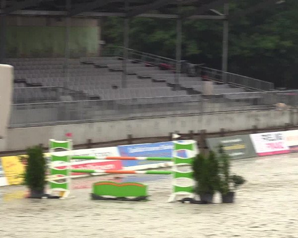 Reitturnier CSI** Westergellersen 2020
