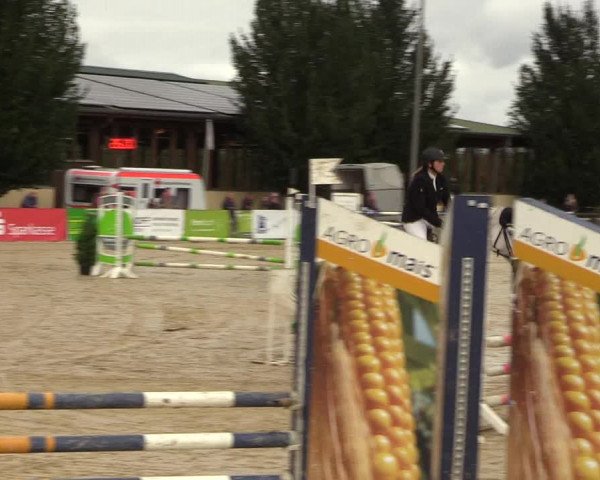 Reitturnier Everswinkel 2021
