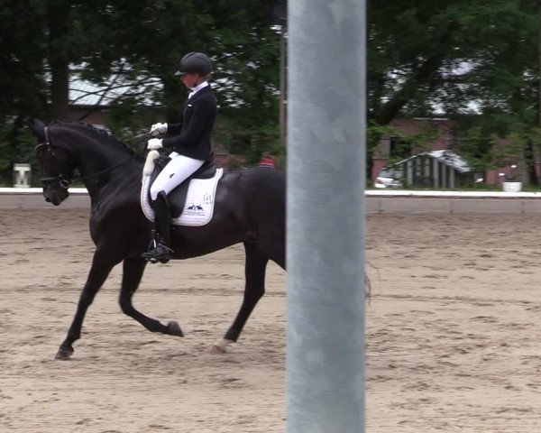 Reitturnier Fröndenberg 2020